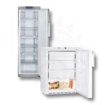 Gastro Gefrierschrank